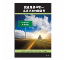 GAN FET BOOK SIMPLIFIED CHINESE VERSION image.