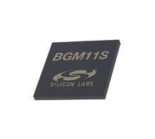 BGM11S12F256GA-V2 image.